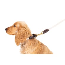 120cm Classic Leather & Cotton Rope Dog Lead